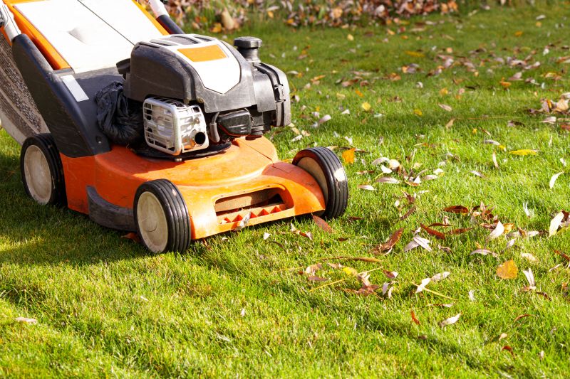 Equipment for Fall Cleanup