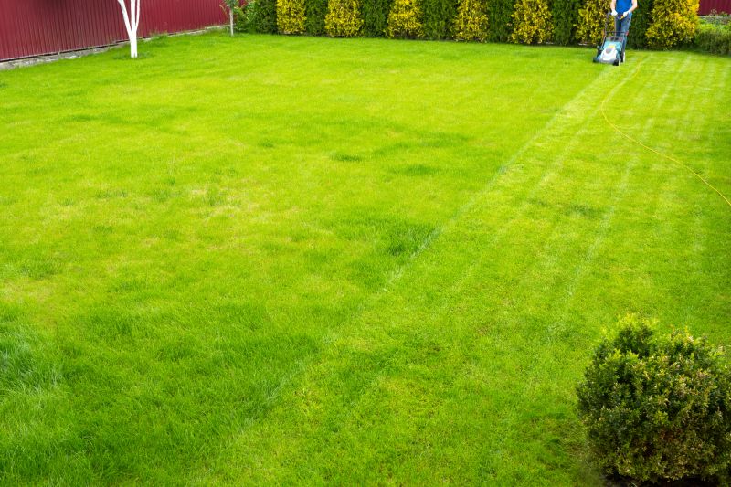 Seasonal Lawn Appearance
