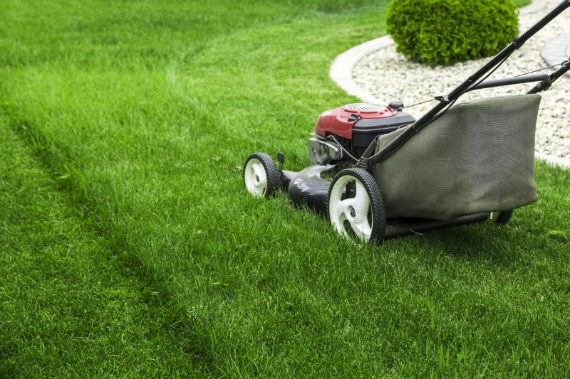 Lawn Maintenance Tips
