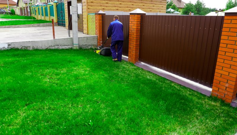 Residential Yard Mowing