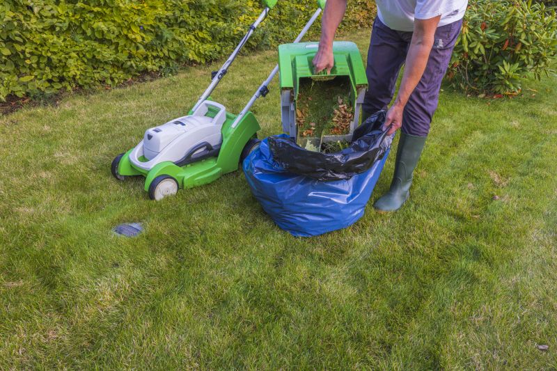 Local Lawn Care Experts