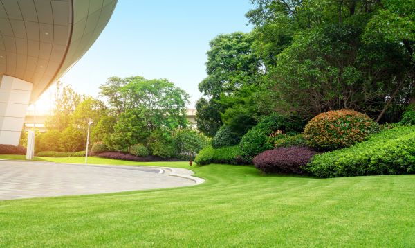 Cost of Commercial Lawn Mowing in Endicott