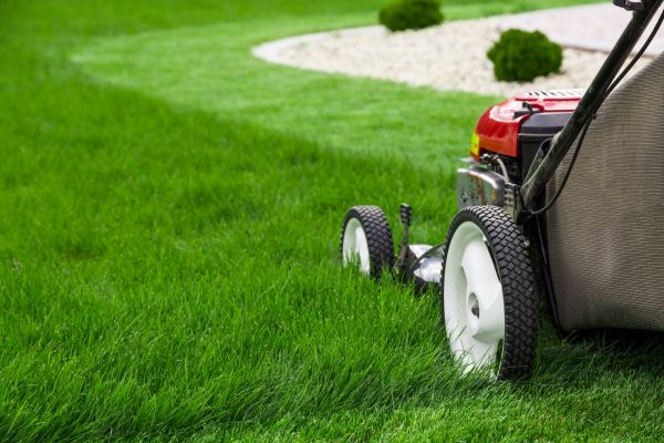 Lawn Cutting Service in Endicott