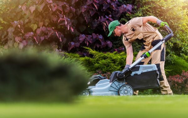 Yard Care Service in Endicott