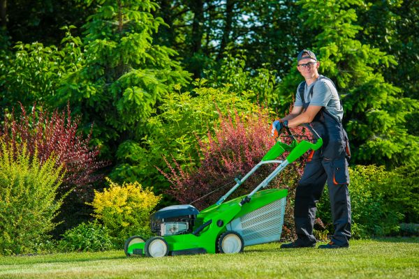 Yard Work Service in Endicott