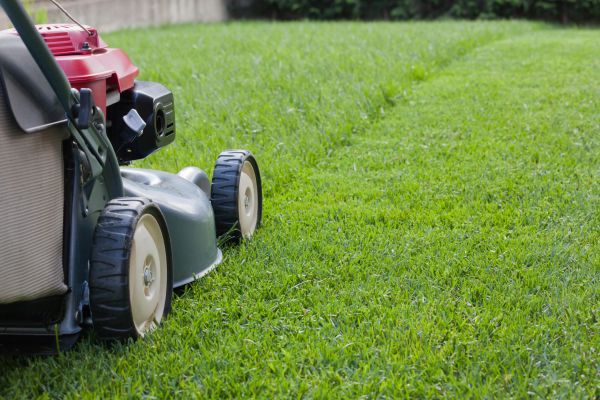 Residential Lawn Care in Endicott