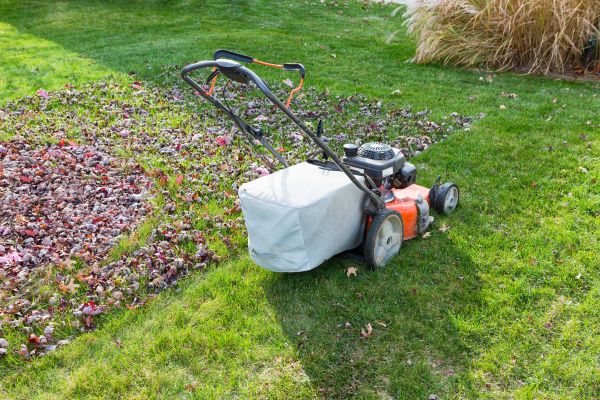 Seasonal Lawn Care in Endicott