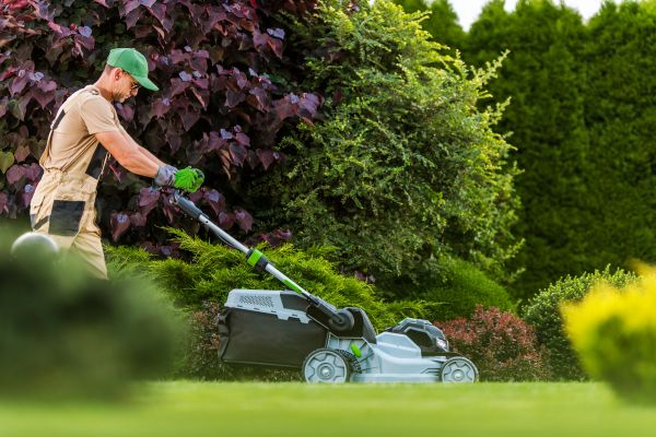 Lawn Management in Endicott