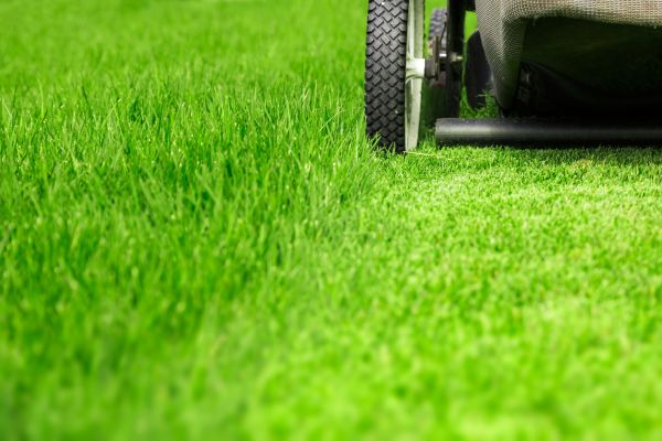 Weekly Lawn Care in Endicott
