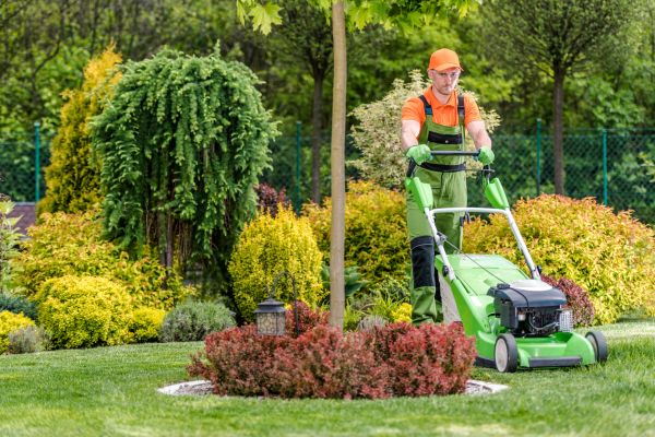 Cost of Commercial Yard Maintenance in Endicott