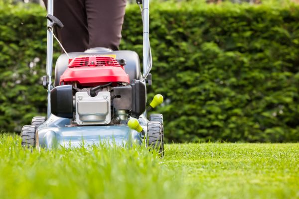 Cost of Grass Trimming Service in Endicott
