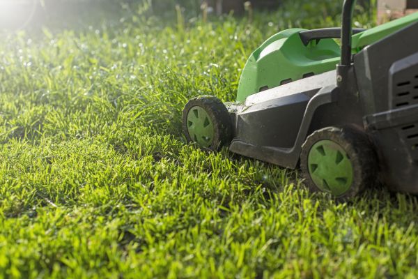 Residential Lawn Maintenance in Endicott