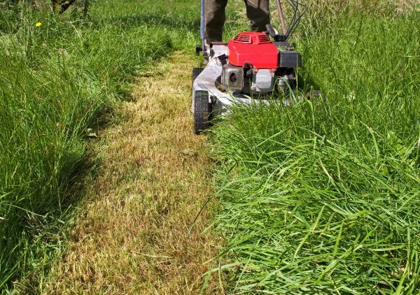 Leaf Mowing in Endicott